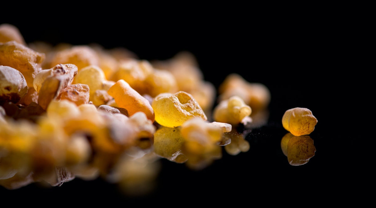 Why Ingredient Form Matters