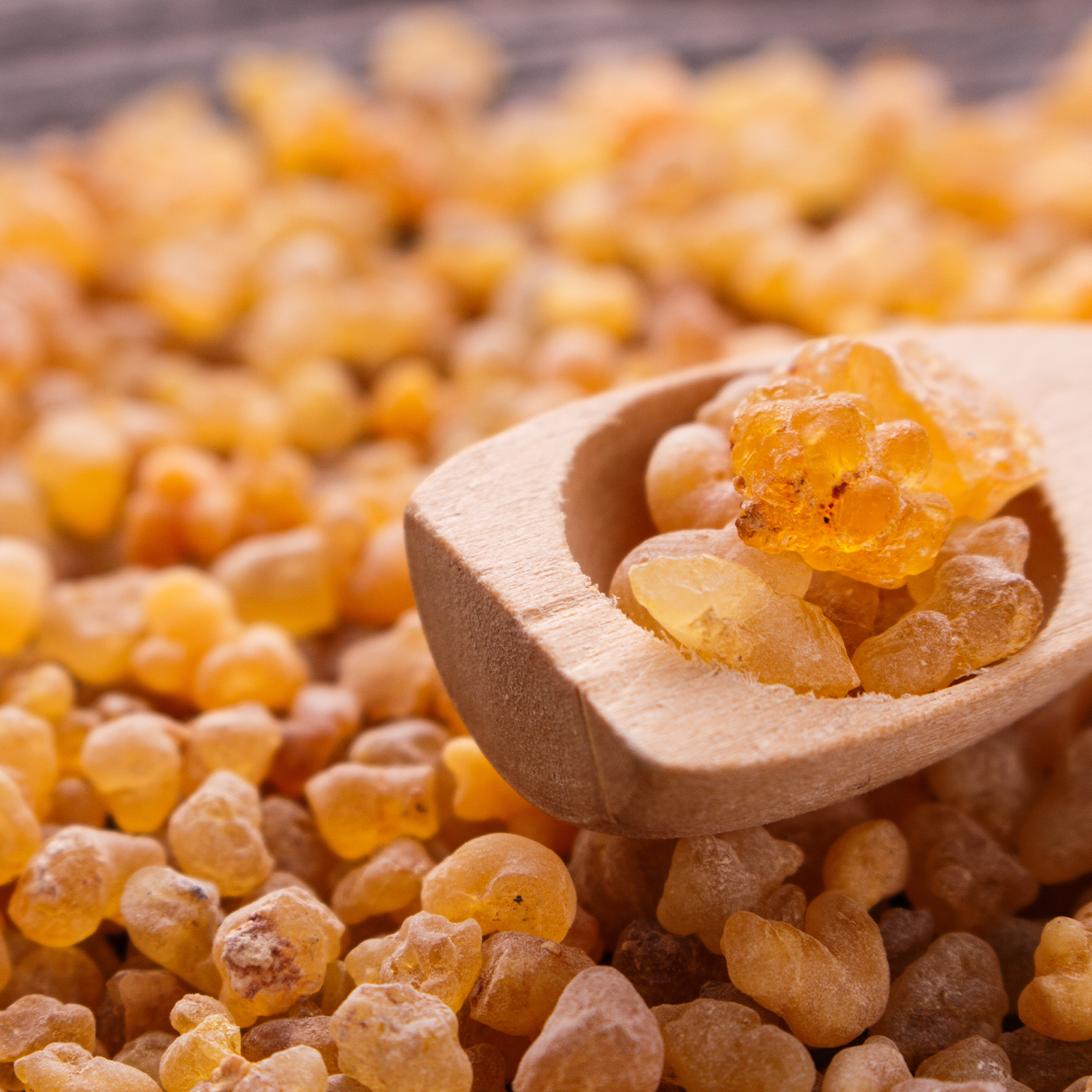 Raw frankincense resin tears harvested from Boswellia tree bark